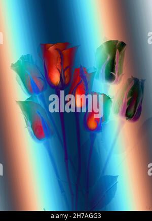 Rose buds. Abstract colorful painting. Stock Photo