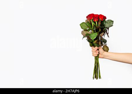 Beautiful bouquet of red roses in a woman hand isolated on white background. Trendy poster for Valentines Day, International Womens Day or mothers day Stock Photo