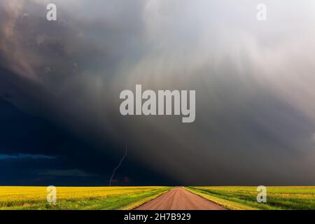 Stormy sky with lightning and rain from a summer thunderstorm over a dirt road and farm field landscape near Karval, Colorado Stock Photo