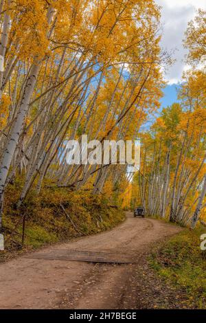 Autumn colors along Last Dollar Road, Telluride, Colorado Stock Photo