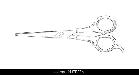 Scissors sketch. Hairdresser shears tool. Vector illustration isolated in white background Stock Vector