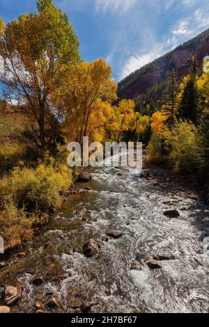 Cottonwood trees line the San Miguel River near Telluride in the autumn, Colorado Stock Photo