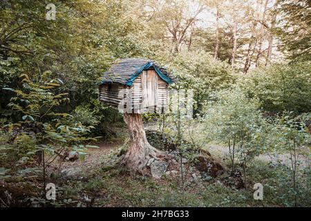 Maison d'arbre mystique et de conte de fées, qui rappelle l'effrayante  demeure de Baba Yaga sur des pattes de poulet dans la forêt Photo Stock -  Alamy