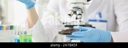 Woman scientist drips liquid oil from pipette into cup of soil Stock Photo