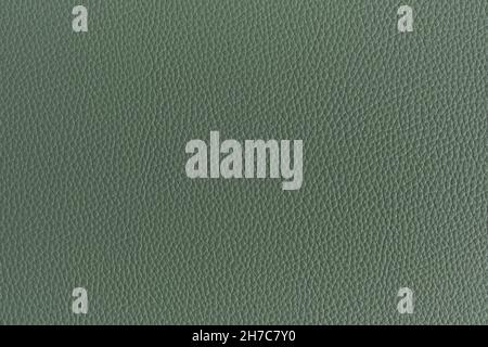 Green background with skin texture Stock Photo