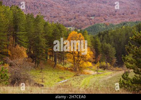 Beautiful mountain landscape of the Abruzzo Lazio and Molise National Park in autumn Stock Photo