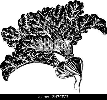 Beets Beetroot Vegetable Woodcut Illustration Stock Vector