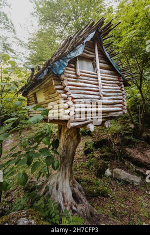 Spooky hut on a tree stump in the forest. The concept of camping and the magical house of Baba Yaga from Slavic mythology Stock Photo