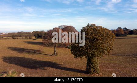 Low-level, aerial view of a field on Coldblow Farm, Ripple, Kent Stock Photo