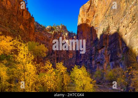 Towering red rock cliffs and colors of the fall season as seen along the Riverside Walk trail in Zion National Park, Springdale, Utah, USA. Stock Photo