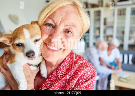 Happy elderly woman with a small dog in her arms at home for company and love of animals Stock Photo