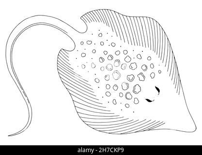 Stingray ramp fish graphic black white isolated illustration vector Stock Vector