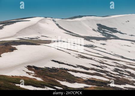 Spring is in the mountains, melting snow fields on the ridge expose fresh green grass on pastures in Armenia. Stock Photo