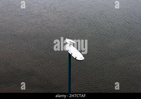 a seagull sits on a lantern at the north sea Stock Photo