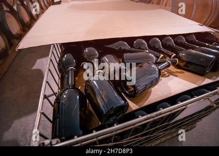 bottles made of dark glass are on a shelf in the cellar of the winery. Rum, whiskey or old wine of refined taste Stock Photo