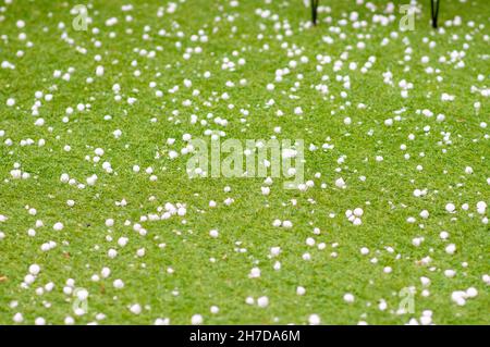 Hail rocks on the (synthetic) lawn. Photographed in Tel Aviv, Israel in May Stock Photo
