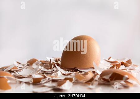 part of an eggshell on a bed of broken egg shells with a white background Stock Photo
