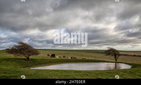 Dew Pond on South Downs Way Stock Photo
