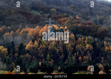 Electricity pylons and cables amongst woodland trees in Autumn, Britain, Uk Stock Photo