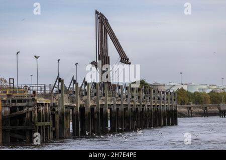 Port of Tyne the location of the Dogger Bank Wind Farm development, 50:50 joint venture between Equinor and SSE Renewables, Newcastle, England, UK Stock Photo