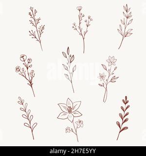 Minimalist wild flowers, herbs, leaves and branches. Hand drawn line art herbs set highlight icon. Botanic elements for logo design, eco style, organi Stock Vector