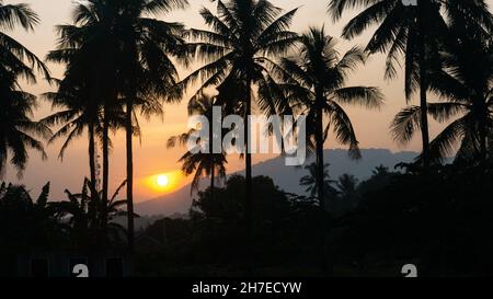 Palms at sunset on Anyer Beach in Banten, Indonesia Stock Photo