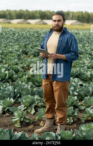 Full length portrait of serious young bearded plantation worker in denim shirt standing with digital tablet on cabbage field Stock Photo