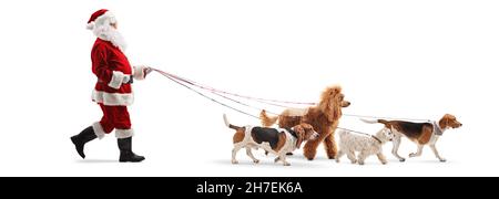 A Profile Of A Happy Excited Dog Is Isolated On A White Background In ...