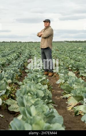 Full length portrait of confident Asian owner of cabbage plantation standing with crossed arms between vegetable rows Stock Photo