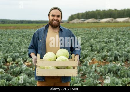 Portrait of happy young bearded man in hat and denim shirt holding crate of cabbages against large plantation Stock Photo