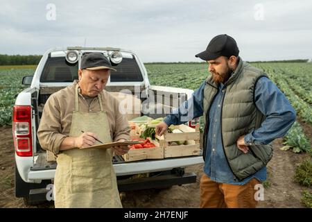 Plantation worker in apron standing at pickup truck on cabbage field and counting boxes of vegetables with colleague Stock Photo
