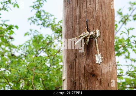 Bunch of keys new and old, hanging in a permanent place, hung on a rusty nail to a wooden pole Stock Photo