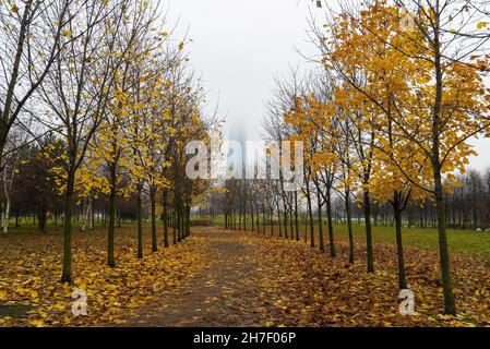 Autumn Park named after the 300th anniversary of St. Petersburg with a view of the Lakhta Center. Saint-Petersburg. Russia. Stock Photo