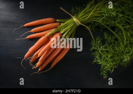 Bunch of organic carrots with green leaves, fresh from the market, on dark rustic wood, copy space, high angle view from above, selected focus Stock Photo