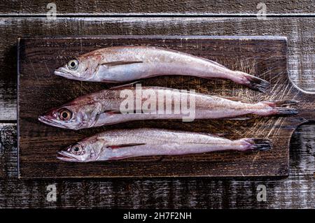Freshly caught whole silver hake on a rustic wood table top. Stock Photo