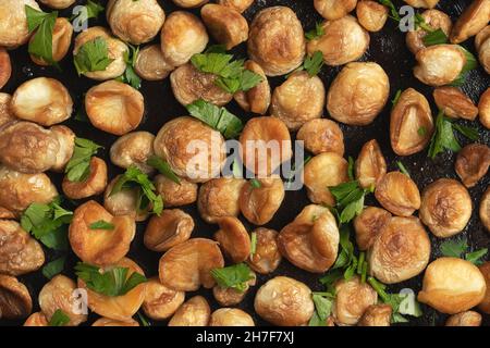 Cooking edible puffball mushrooms. Fried mushrooms in a cast iron pan, top view Stock Photo