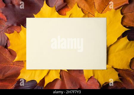 Blank sheet of paper with place for text on colorful autumn leaves. Template for design or postcards Stock Photo