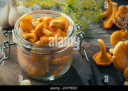 Preserving chanterelle mushrooms in a jar with spices and herbs. Pickling wild edible mushrooms, close-up. Stock Photo