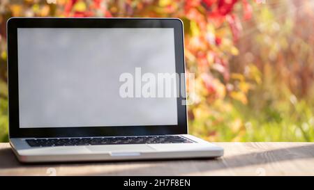 Laptop with blank screen on a table in the autumn garden. Template for ads, design, advertising. Stock Photo