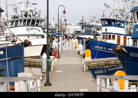 Seattle - November 21, 2021; Boat dock at Fishermens Terminal in Seattle lined with commercial fishing boats and lamp posts Stock Photo