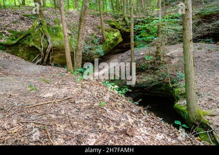 Rock formations and trees on top of Yahoo Arch in Southern Kentucky Stock Photo