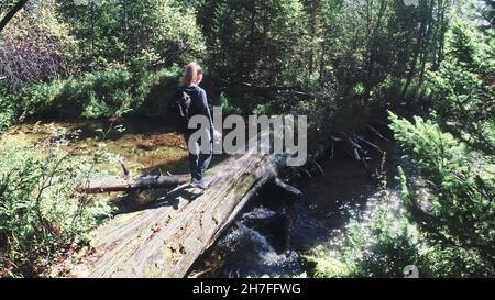 Traveler photographing scenic view in forest river. Wood bridge fallen tree. One caucasian woman shooting nice magic look. Girl take photo video on ca Stock Photo