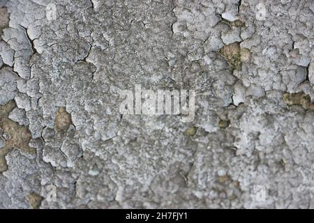 Vintage grunge weathered grey concrete cement stone wall textue background Stock Photo