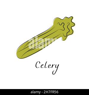 Celery sign. Fresh Vegetable isolated icon for farm market, vegetarian salad recipe design. Vector illustration in flat style Stock Vector