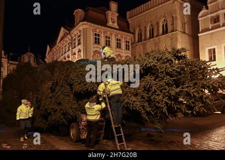 Prague, Czech Republic. 23rd Nov, 2021. Specialists install Prague Christmas tree on the Old Town Square in Prague, Czech Republic, on November 23, 2021. Credit: Michal Kamaryt/CTK Photo/Alamy Live News Stock Photo