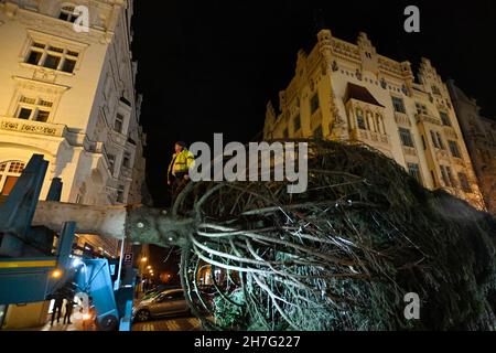 Prague, Czech Republic. 23rd Nov, 2021. Specialists install Prague Christmas tree on the Old Town Square in Prague, Czech Republic, on November 23, 2021. Credit: Michal Kamaryt/CTK Photo/Alamy Live News Stock Photo