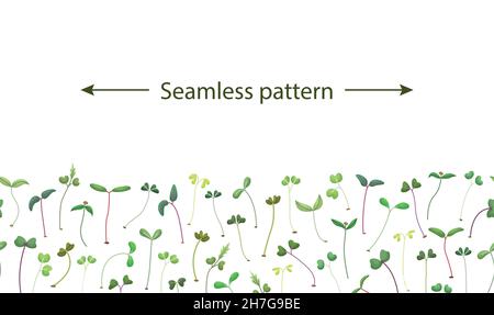 Vector horizontal seamless pattern with microgreens. Healthy young seedlings. Healthy eco-friendly food. Flat background Stock Vector