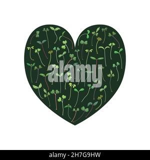 Vector illustration of microgreens. Healthy young seedlings. Healthy eco-friendly food. Stock Vector