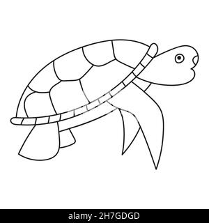 Vector line drawing of sea turtle. Single line art concept of aquatic water park. Stock Vector