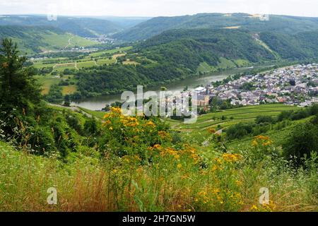 Via Kröv on the Moselle, Rhineland-Palatinate, Germany Stock Photo